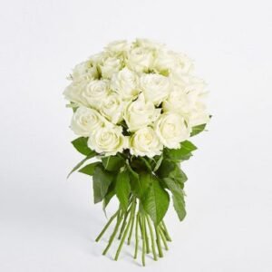 Product 09